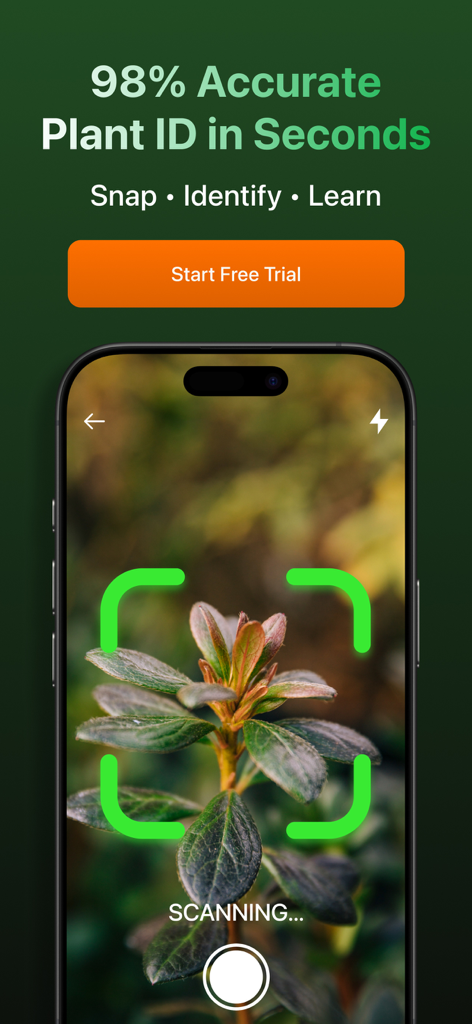Florio: Plant Identification - A smartphone using the Florio app camera to scan and identify a green plant with high accuracy.