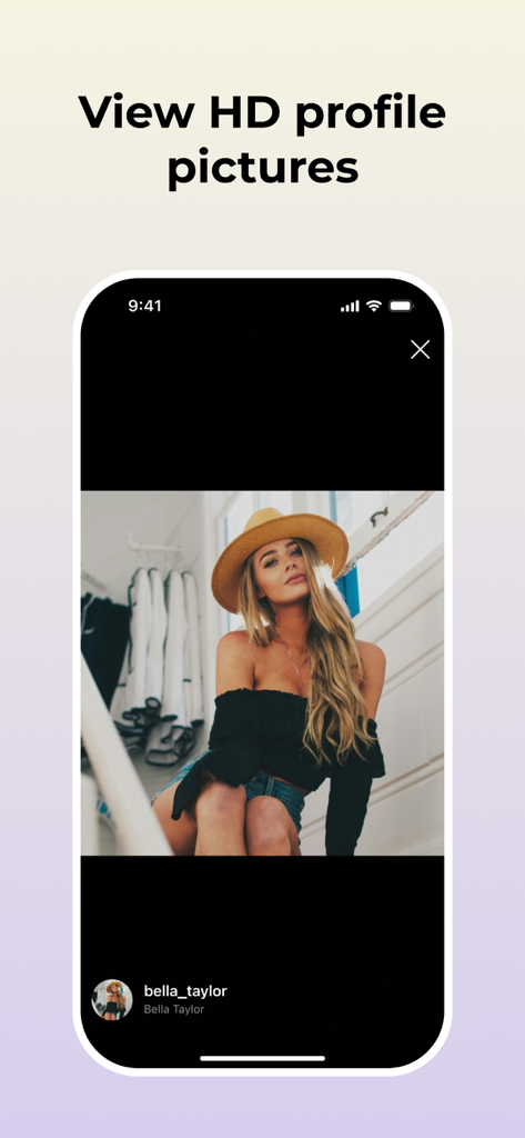 Interfaz de la aplicación Postegro que muestra la función de visualización de fotos de perfil en HD para cuentas de Instagram.