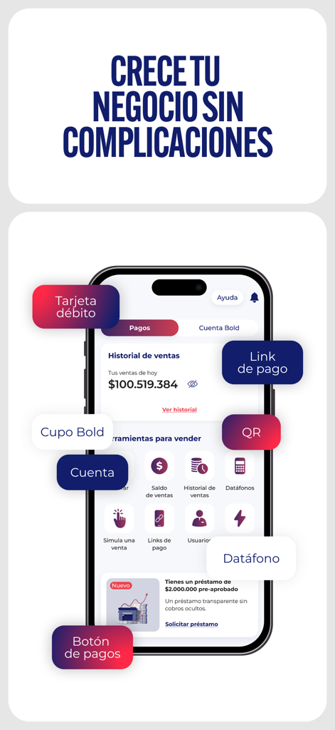 Bold - Bold mobile app dashboard showing financial tools for business growth
