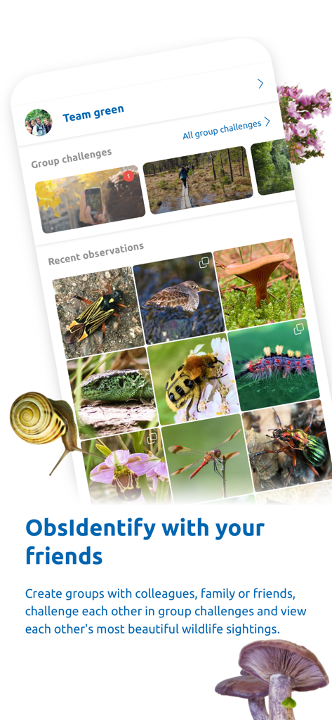 ObsIdentify - ObsIdentify app showing group challenges and recent nature observations shared with friends