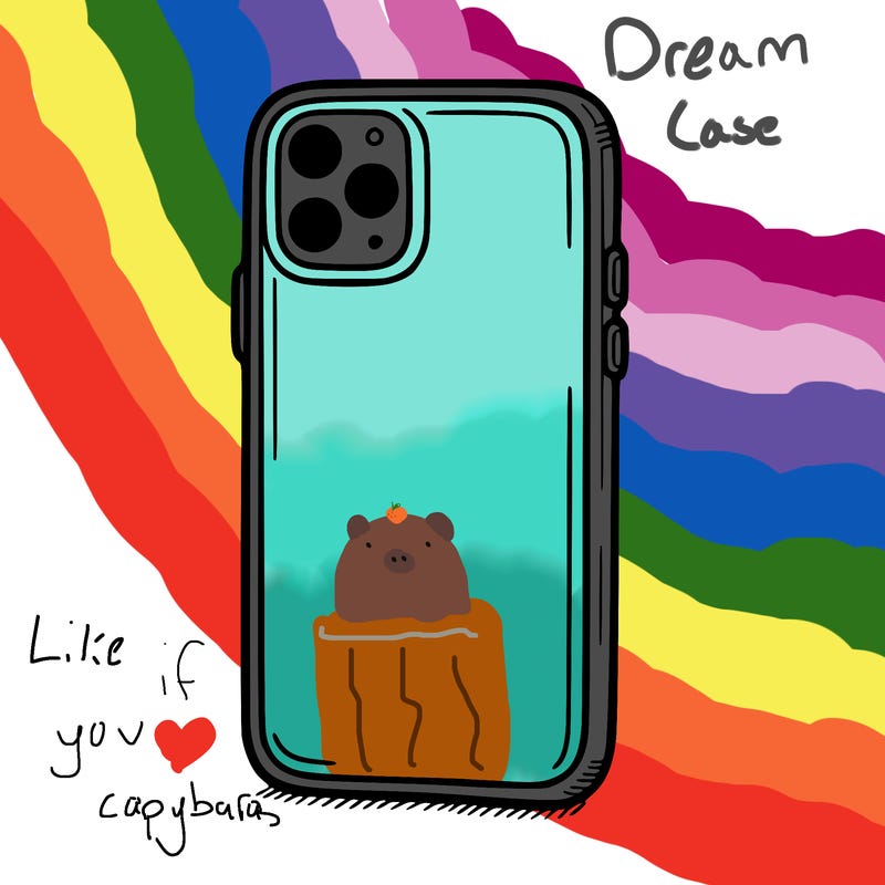 phone case