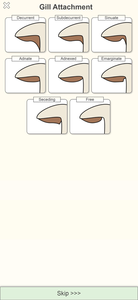 A menu showing different mushroom gill attachment types like decurrent adnate and free for identification