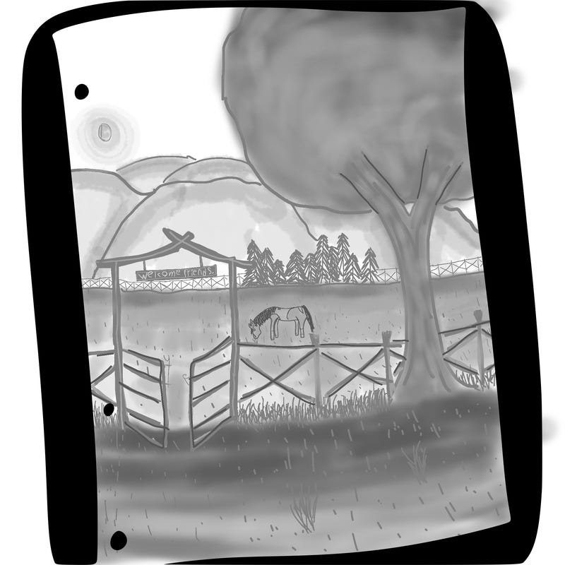 blank white page with nothing drawn on it