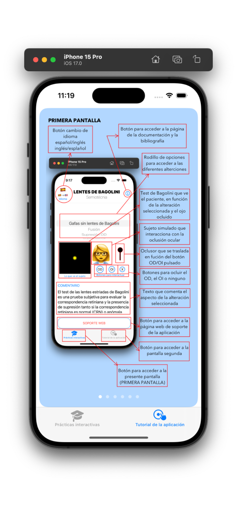Bagolini Test - Interface guide of the Bagolini Test app showing medical simulation tools and descriptions