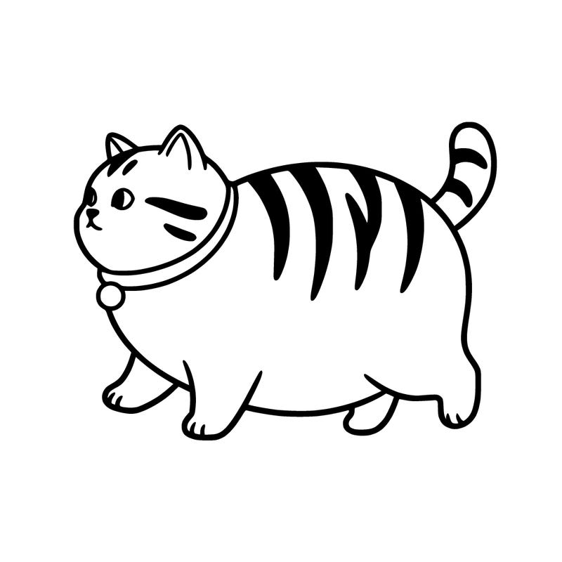 fat cat with stripes on back stubby little legs and his gray