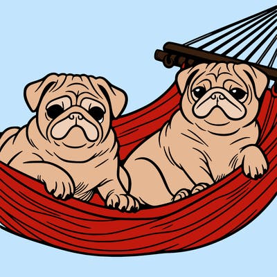 pugs on a hammock