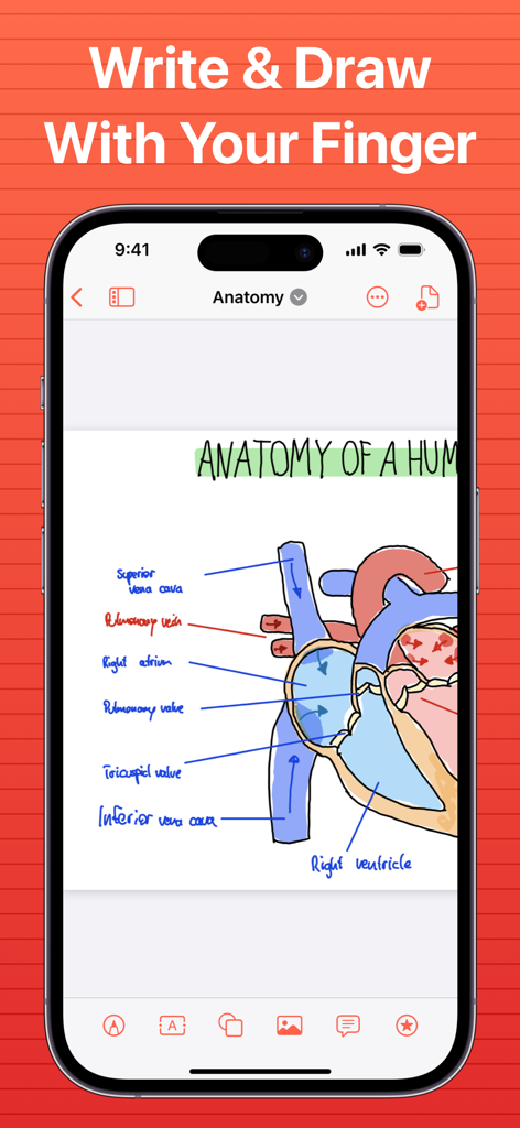 SuperNotes Note Taking App - SuperNotes app interface on iPhone showing a detailed handwritten anatomical diagram of a human heart with colorful labels.