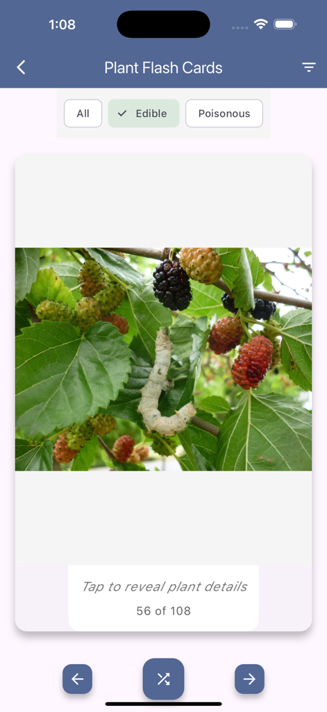 Edible and Poisonous Plants - Plant identification flashcards screen in the Edible and Poisonous Plants app