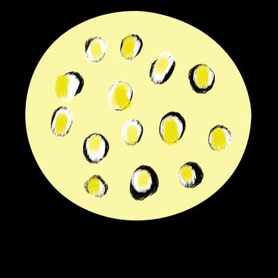 a plain circle with nothing else