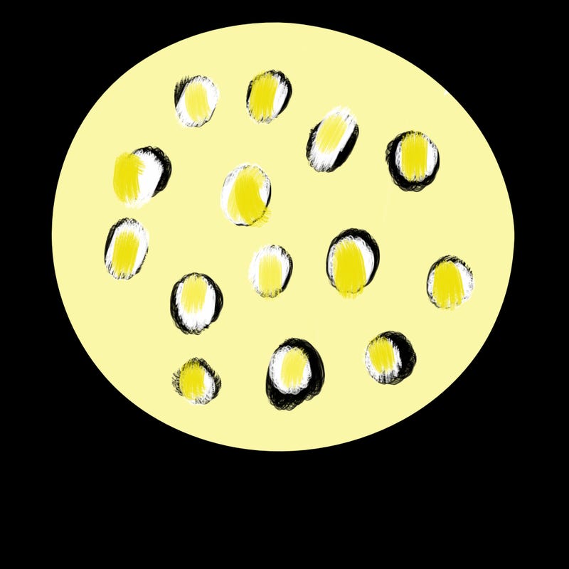 a plain circle with nothing else