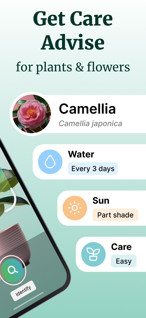 Écran de l'application montrant des instructions d'entretien des plantes pour une fleur de camélia, y compris les besoins en arrosage et en soleil.