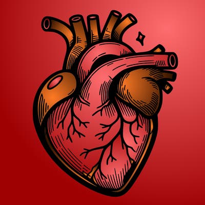 realisticl heart