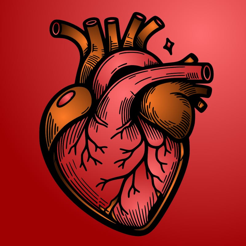 realisticl heart