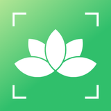 PlantGuide - ID & Diagnose - App Icon