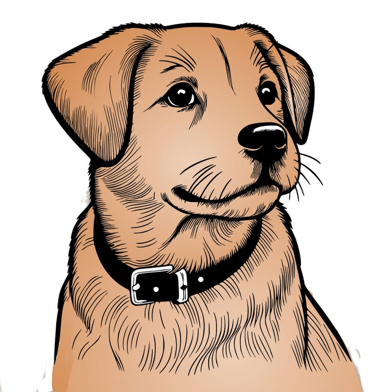 dog realistic