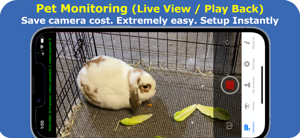 Mobile Security Camera - Smartphone screen showing a live video feed of a pet rabbit being monitored by the security camera app