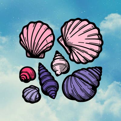 shells