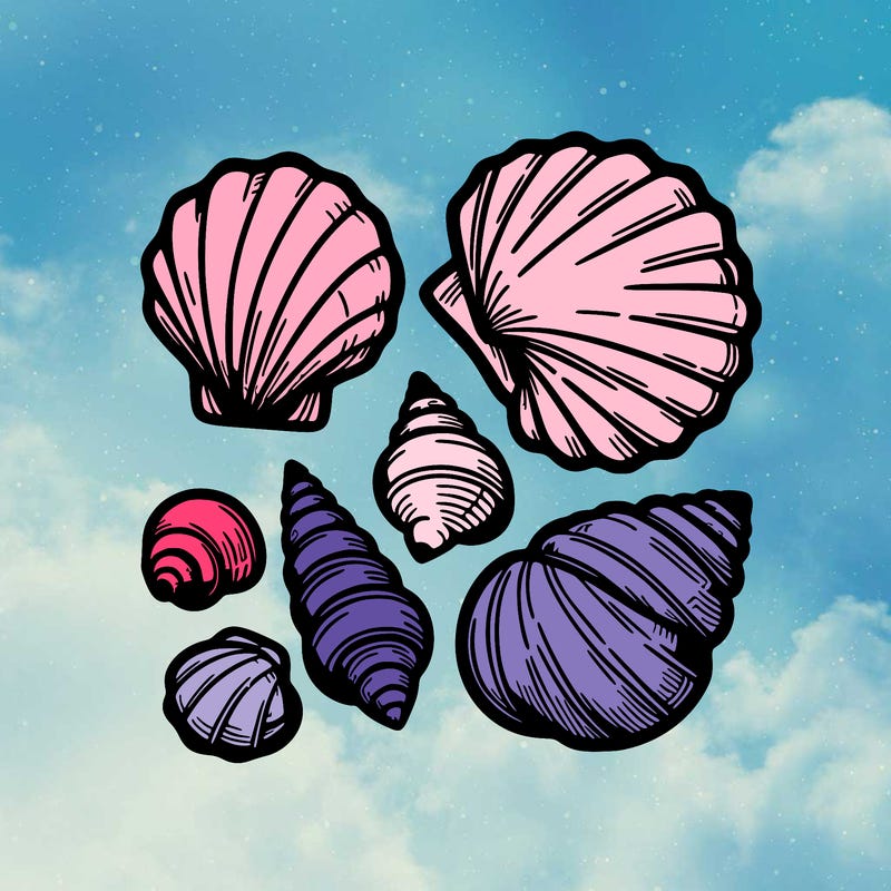 shells