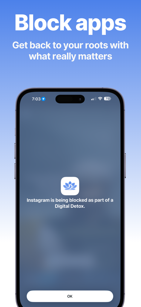 iPhone-Bildschirm, der eine Nachricht anzeigt, dass Instagram als Teil eines digitalen Entzugs blockiert ist
