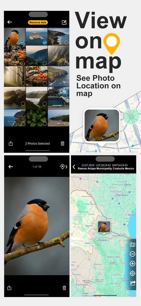 Eine Reihe von Screenshots einer mobilen App, die zeigen, wie aufgenommene Vogelfotos und ihre Standorte auf einer interaktiven Karte angezeigt werden