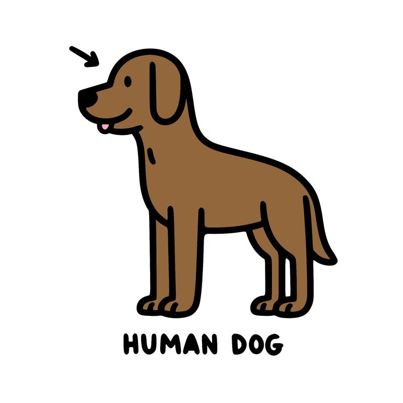 human dog