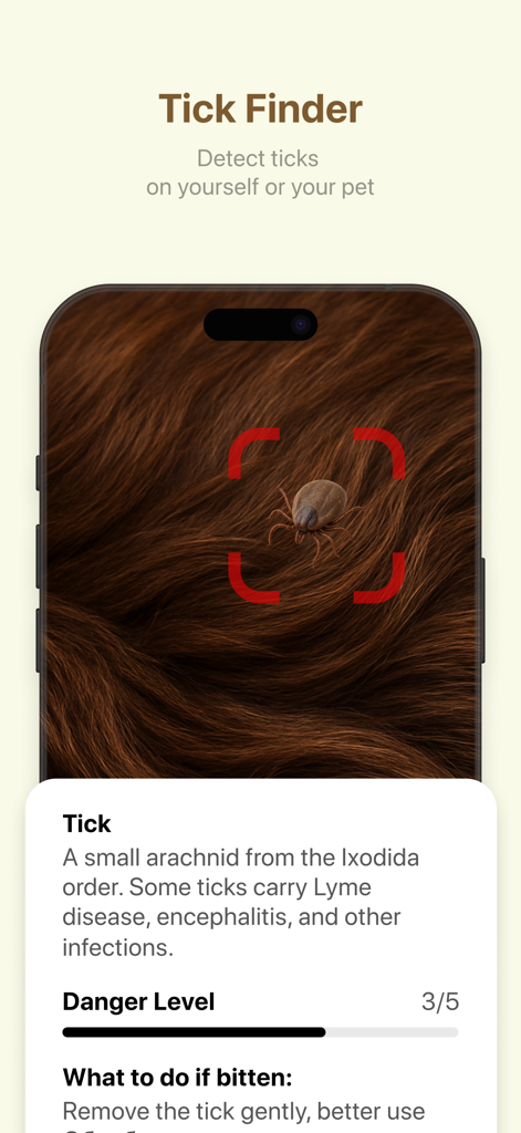 Picture insect - AI Identifier - Aplicación identificadora de insectos por IA que muestra la detección de una garrapata en una mascota