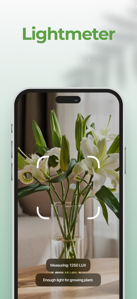 Plant AI: Scanner & Identifier - Interfaz de la aplicación Plant AI mostrando un medidor de luz que mide lux para lirios de interior