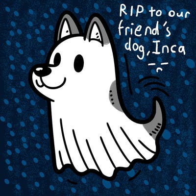 a ghost dog