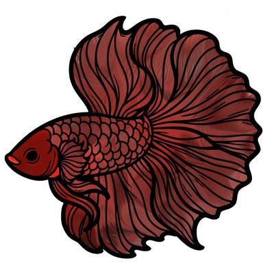 betta fish