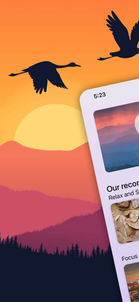Interfaz de la aplicación Pure Nature 3D Soundscapes mostrando álbumes de naturaleza y fondo de pájaros al atardecer