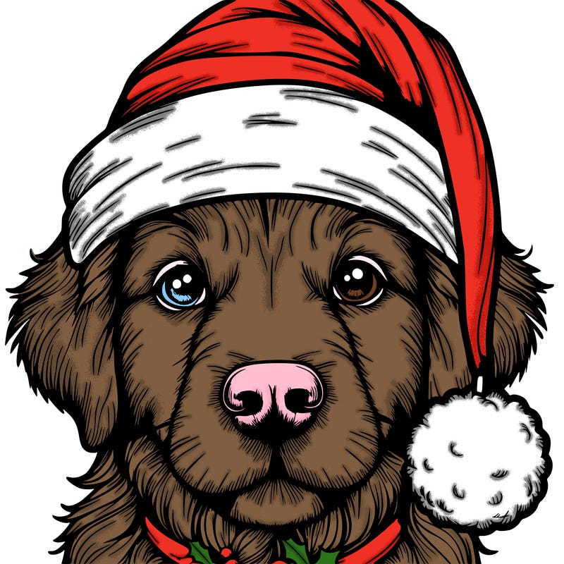 realistic dog with a christmas hat