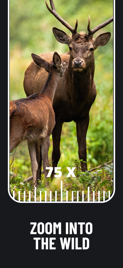 Binoculars : Telescope Zoom - モバイルアプリインターフェイスで、75倍望遠鏡ズームで野生の鹿を表示
