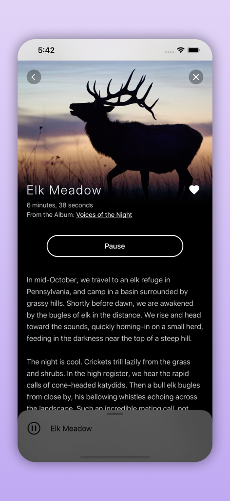 Pantalla de la aplicación Pure Nature mostrando el paisaje sonoro 3D "Elk Meadow" con la silueta de un alce y una descripción detallada de la grabación