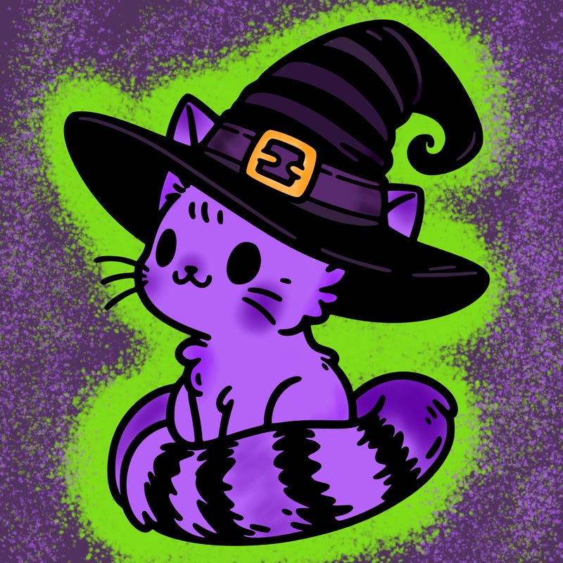 a cat in a witch's hat