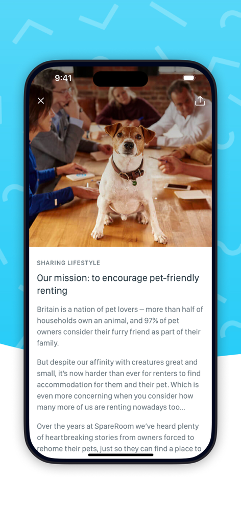 SpareRoom - A dog on a table in the SpareRoom app mission screen for pet friendly housing.