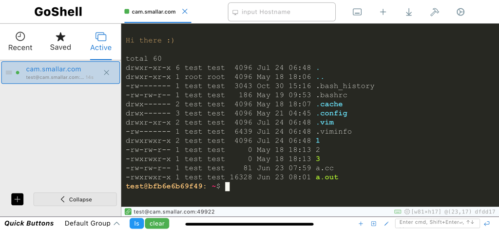 GoShell - GoShell app interface showing an active SSH session with a command line directory listing and navigation sidebar