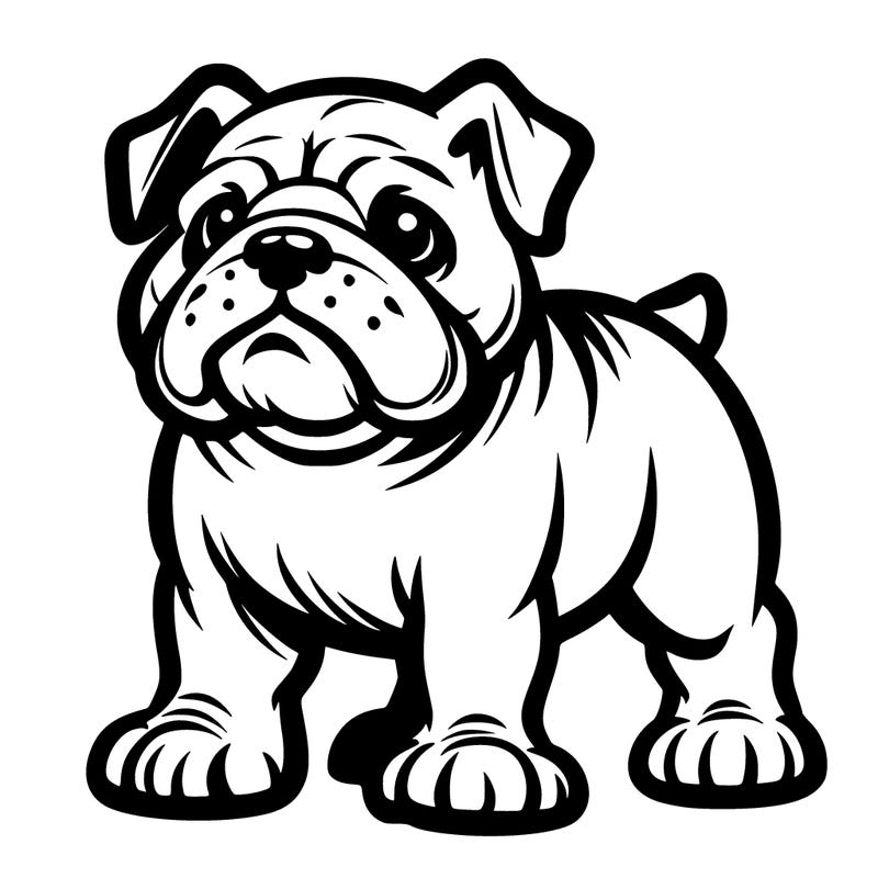 bulldog
