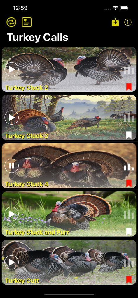 Interface of the Turkey Hunting Calls App showing a list of bird sounds
