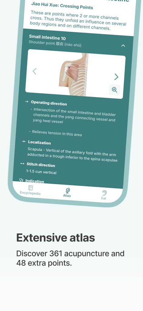 AKUDEX Acupuncture - Anatomisches Diagramm und klinische Details für einen Akupunkturpunkt in der AKUDEX-App