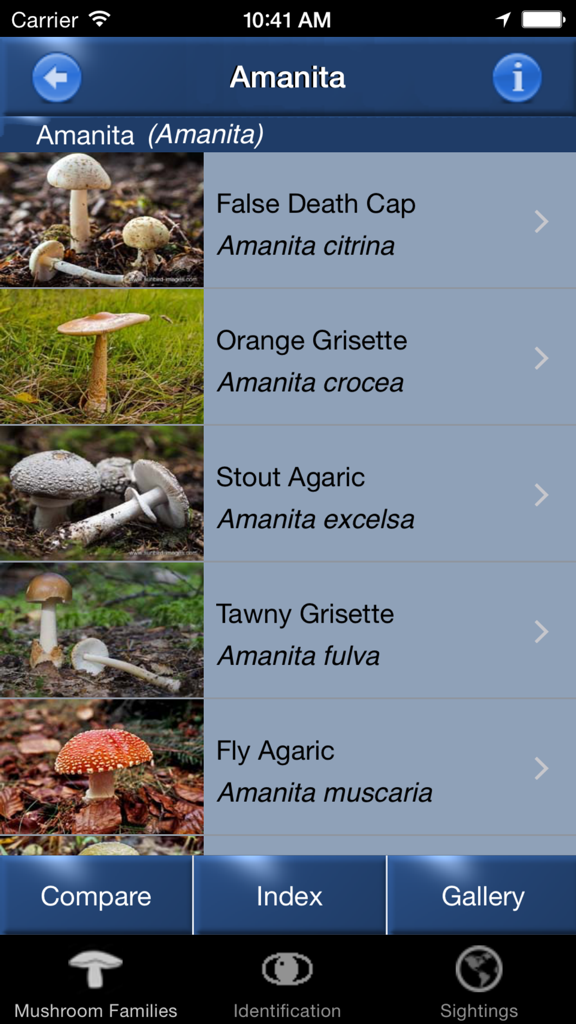 Un elenco di specie di funghi Amanita, tra cui l'Amanita muscaria e l'Amanita phalloides, all'interno dell'app Mushroom Id.