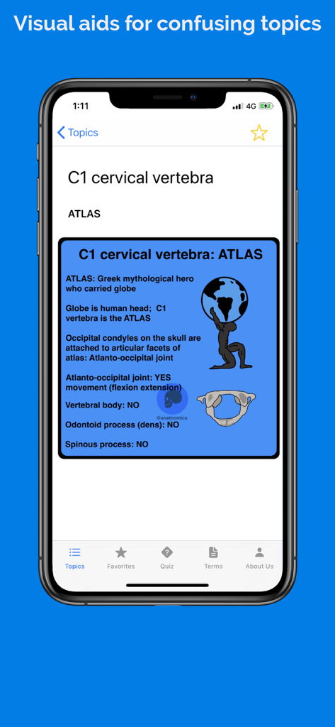 Anatnomics: Anatomy mnemonics - Visual aid and mnemonic for the C1 cervical vertebra in the Anatnomics app