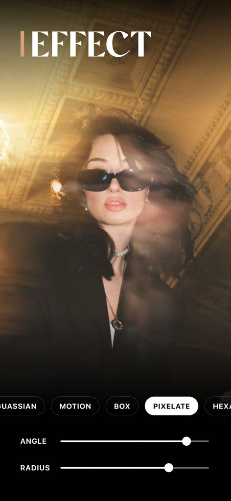 Blurry Photo App 인터페이스에서 픽셀화 흐림 효과로 초상화를 편집하는 중