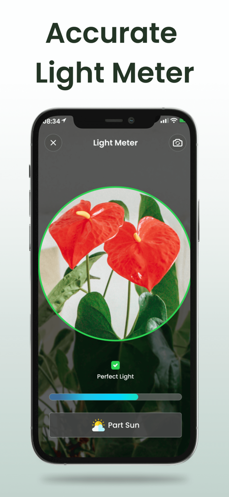 Plant Identifier: Plantiary - Plantiaryアプリのインターフェースが、赤い植物の日光露出を測定する正確な光度計機能を示しています。