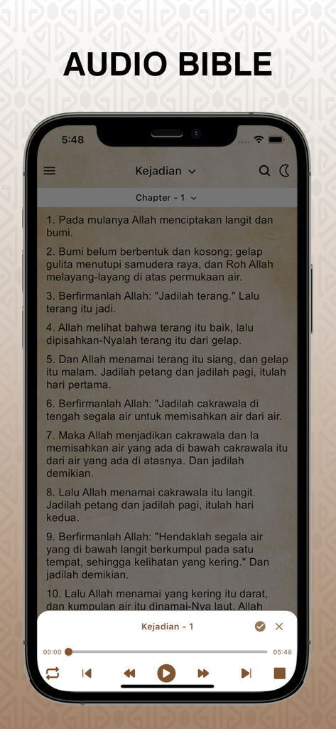 Alkitab Terjemahan Baru Pro app audio bible player interface