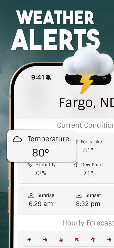 Wind Compass - Windygo - Wind Compass Windygo app interface showing weather alerts and current conditions for Fargo ND