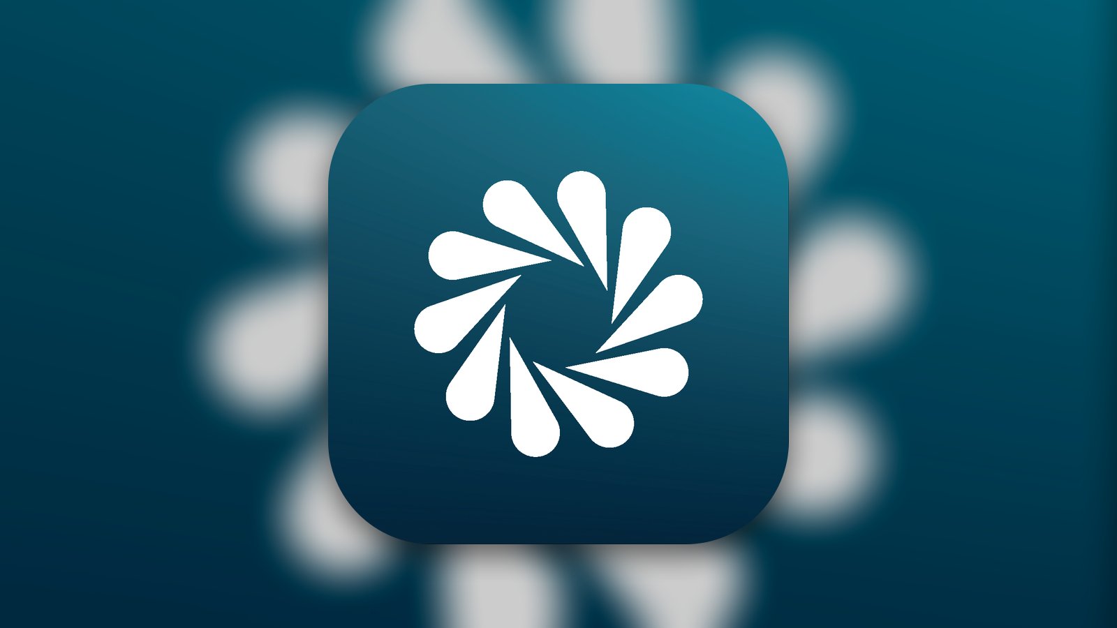 Octopus: Planner, Goal Tracker - Productivity App | MWM