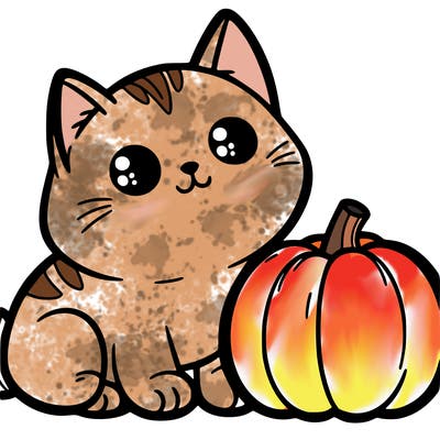 a cat that looks like a pumpkin