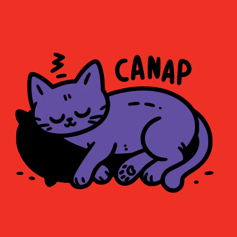 catnap