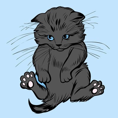 animals_20