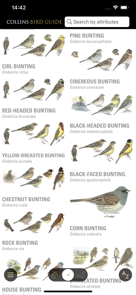 Una galleria di dettagliate illustrazioni di passerine con nomi scientifici nell'interfaccia dell'app Collins Bird Guide.